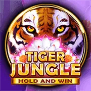 Hình ảnh bàn chơi casino cổ điển tại tải b52.vin